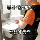 평안동물약국 | 부산방역업체 바퀴벌레 퇴치박멸 싹잡아 해충퇴치 3단계 완벽 케어 후기