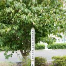 올림피아 한빛 장로교회 이미지