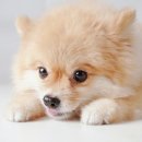 불광다올약국 이미지