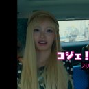 쏘아해