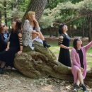 보은전통시장 이미지