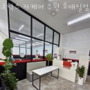 소낙스카케어수원