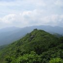 의신민박 이미지