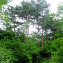 사재산마을 | 백덕산 산행후기