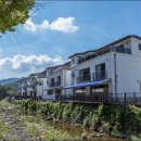 퇴촌나폴리 이미지