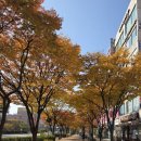 부천속내과의원 이미지