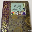 유한회사 형제종합주방 | 숫자를 활용한 로고 디자인 방법과 활용 사례