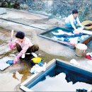 우물가빨래터 이미지