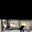 비스트스케이트보딩 이미지