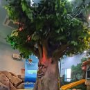 마포중앙도서관 어린이놀이터 이미지