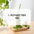 옥산치과의원 이미지