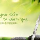 스파나무마포 네이버블로그