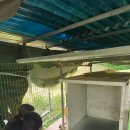 뽑기쉼터 이미지