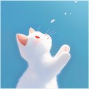 행복한테라스 | 안면도 행복한테라스펜션 바다 가까운 조용한 힐링 숙소 후기