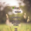 배영곡 이미지