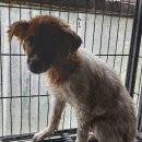 풍각면사무소 이미지