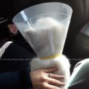 런투독 | 윌리 (런투독 펫택시 애견택시)