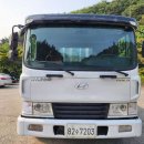 에이스 CRDI 이미지