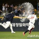 울산일보 이미지