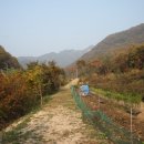 강근영민박 이미지