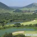 (주)캐슬렉스제주 이미지