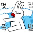 리얼카케어 이미지