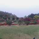 태백초등학교 Daum카페