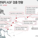 김일환 농장 이미지