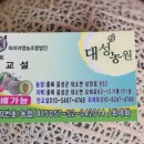 대성판매장 이미지