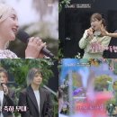 마이로망