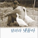 냇물