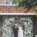 아치날 | 테오그라피 토탈스튜디오: 메인 조화 아치 씬 후기 (비오는 날 촬영 후기 ☔️)