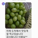 별산농장 | 별빛내리는산골농원 샤인머스켓 구입하신분의 뭉클 후기~감사합니다 ~^^👨‍🌾🧑‍🌾