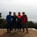 불독복싱 이미지