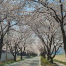 구량차리로 네이버블로그