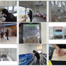 국립생태원 멸종위기종복원센터 이미지