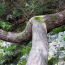 채락산장 이미지