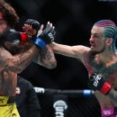 UFC 반독점 집단 소송 합의 이미지