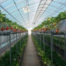 민서농장 이미지