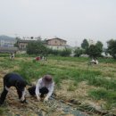 지좌동주민센터 이미지