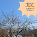 탑(대림롯데)공인중개사사무소 | 서면 네오스포아파트 올수리 급매 38형. 전망 최고. 서면아파트 올수리 급매. 탑네오부동산