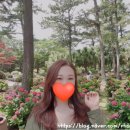 유스헤어크리닉