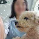 [내돈내산]대구 남구 헤어샵 "로니크" 솔직한 후기(+히피펌, 구름펌)
