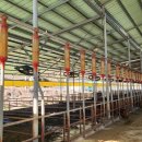 태양축사 이미지