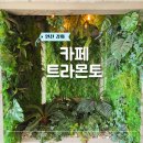 카페오션뷰 | 강화도 오션뷰 카페 트라몬토 후기 시그니처 메뉴부터 주차 정보 팁까지