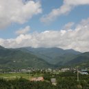 덕산1교 Daum카페