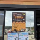 와라캠핑장 | 몽산포오션캠핑장 이박삼일 후기 (할로윈을 곁들인)