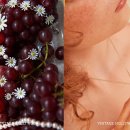 헐리우드 이미지