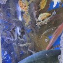 중동 중마시장 이미지