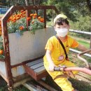 산새목장 이미지